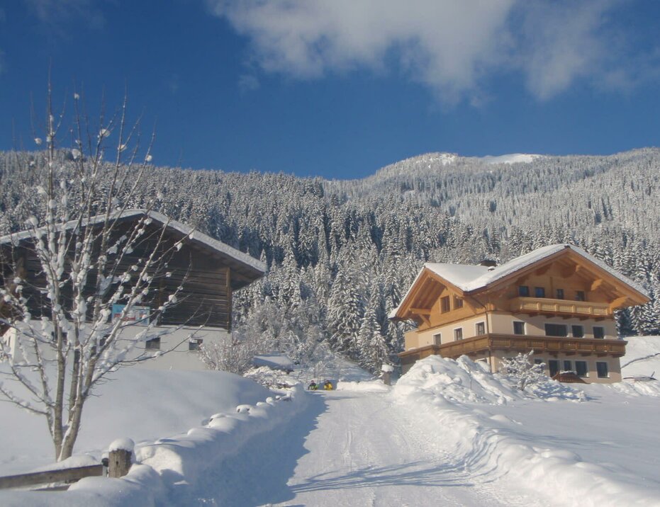 Arche Hof bristhof in Kleinarl Salzburger Sportwelt